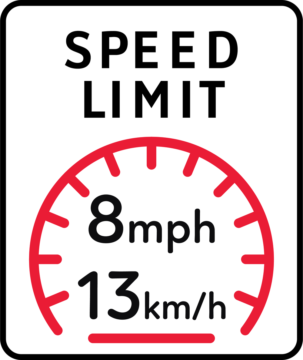 TowWhee Green (Adult) TowWhee Bungee Erwachsenenabschleppseil - flexibles Fahrrad Abschleppseil für Erwachsene