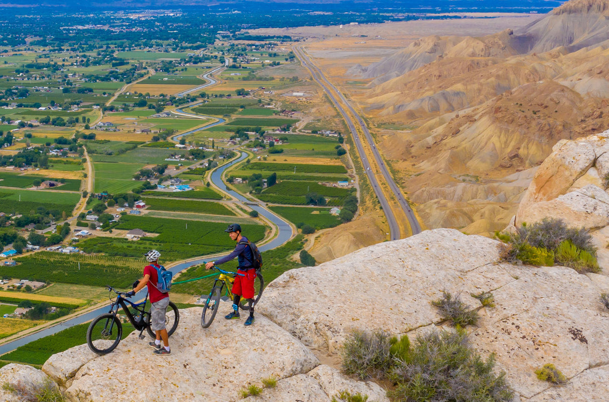 TowWhee Green (Adult) TowWhee Bungee Erwachsenenabschleppseil - flexibles Fahrrad Abschleppseil für Erwachsene