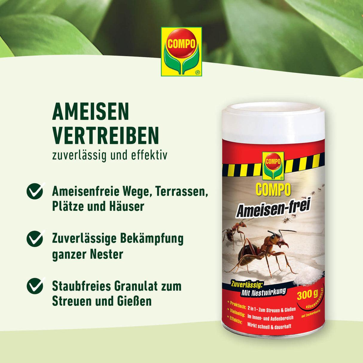 COMPO Ameisen-frei - ideal gegen Ameisen und Ameisennester - staubfreies Ködergranulat zum Streuen oder Gießen - im Innen- und Außenbereich einsetzbar - 600 g