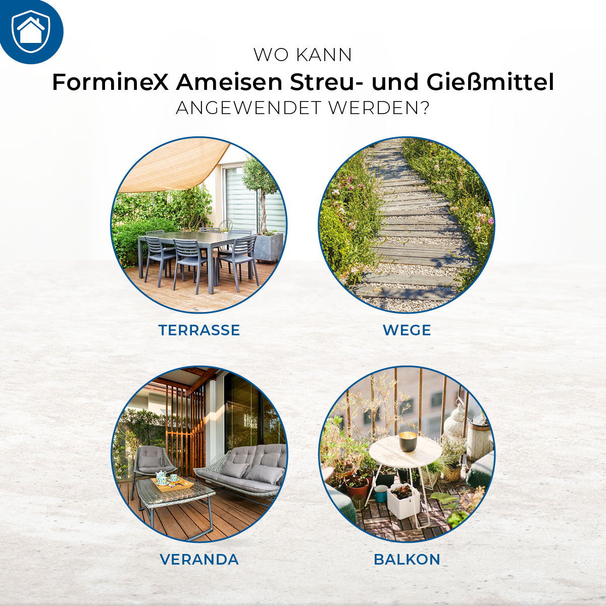 Protect Home FormineX Ameisen Streu- und Gießmittel 500 g