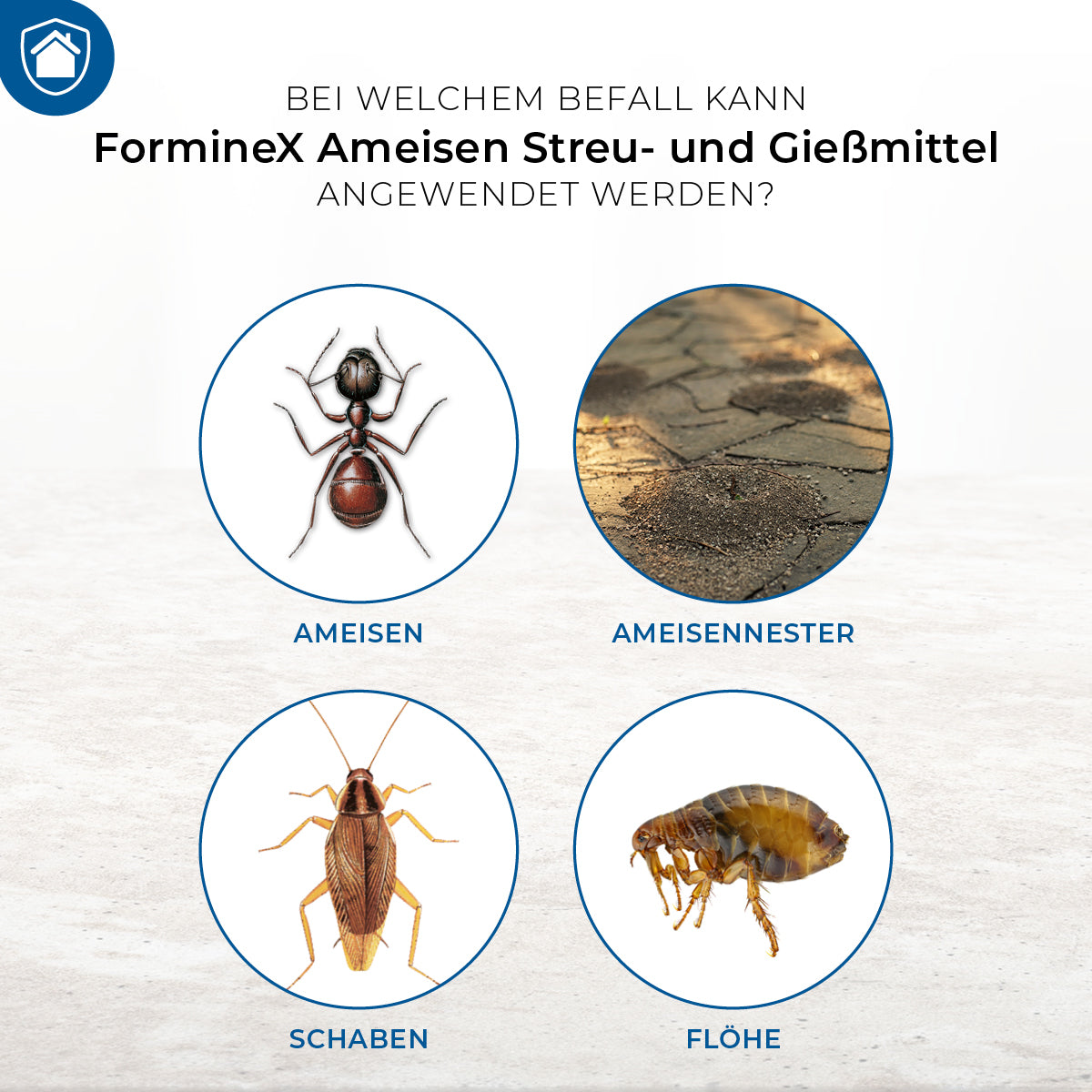 Protect Home FormineX Ameisen Streu- und Gießmittel 500 g