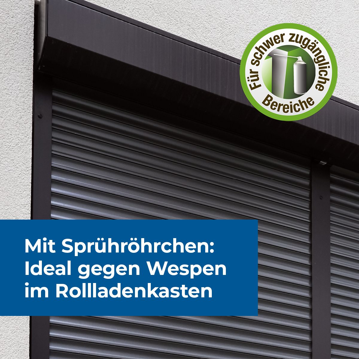 Protect Home FormineX Wespen Spezialspray 500 ml mit Doppel-Sprühsystem für Wespennester und frei fliegende Wespen