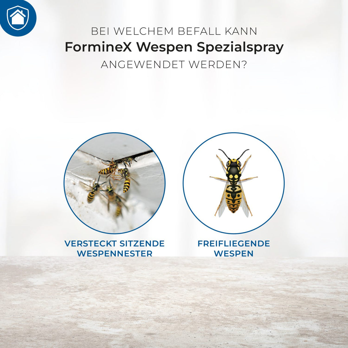 Protect Home FormineX Wespen Spezialspray 500 ml mit Doppel-Sprühsystem für Wespennester und frei fliegende Wespen