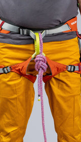 EDELRID Klettergurt Jay IV